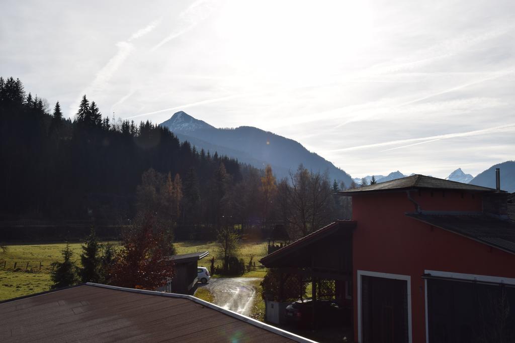 Ferienwohnungen Ellmer Flachau Extérieur photo